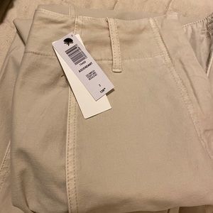 Aritzia ascendant pants